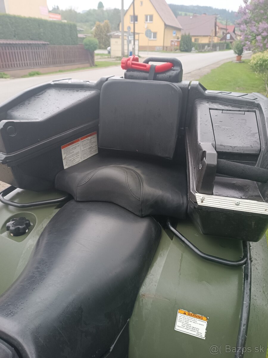 Arctic cat
