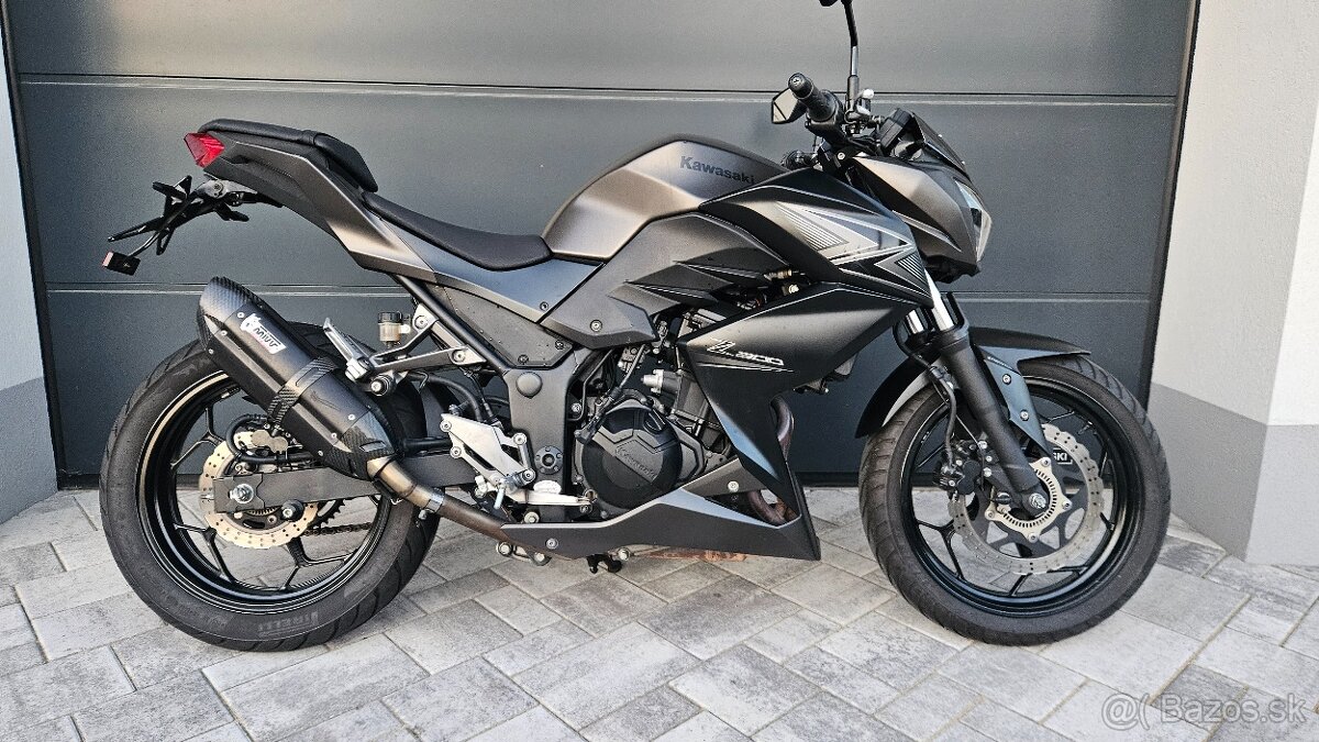 Kawasaki Z 300 - 3