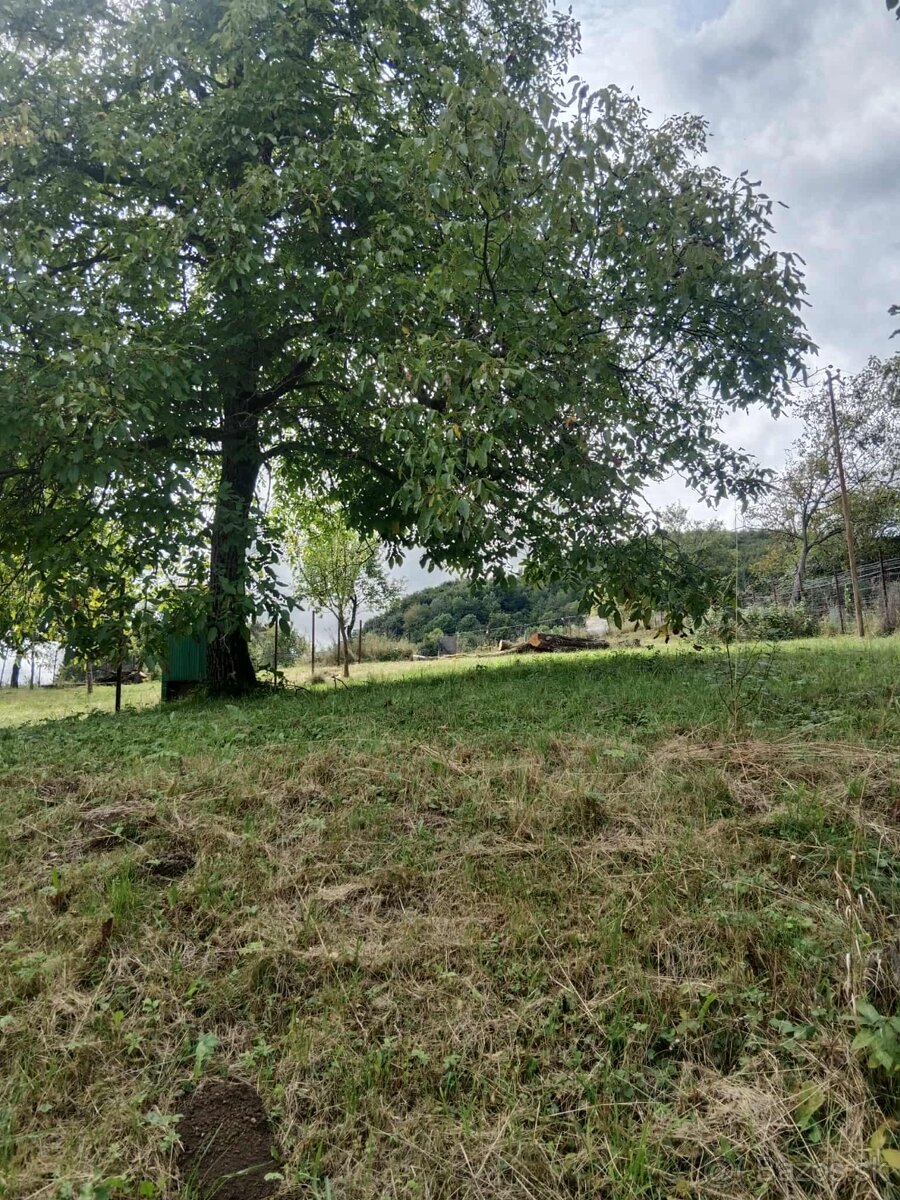 Petrova lehota / zahrada pozemok - 3