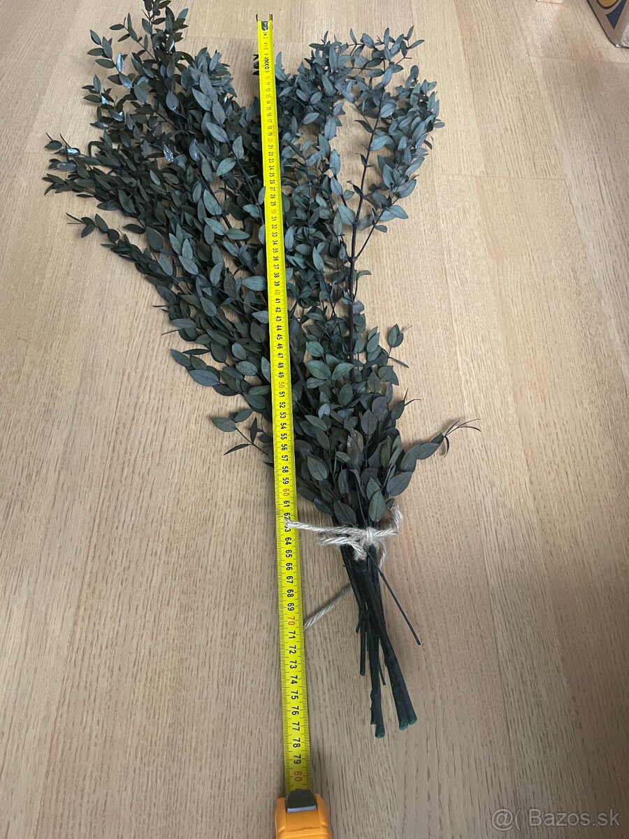 Stabilizovany eukalyptus - 3