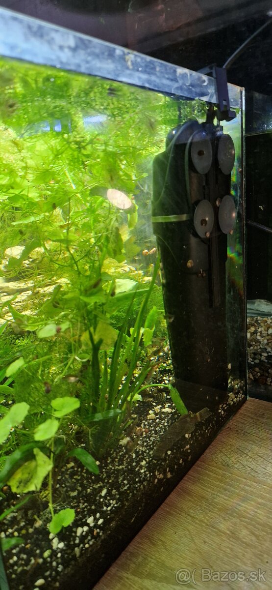 Akvárium 45l - 3