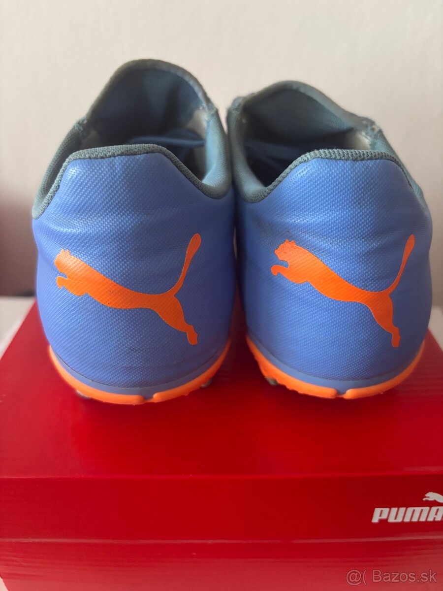Puma - 3