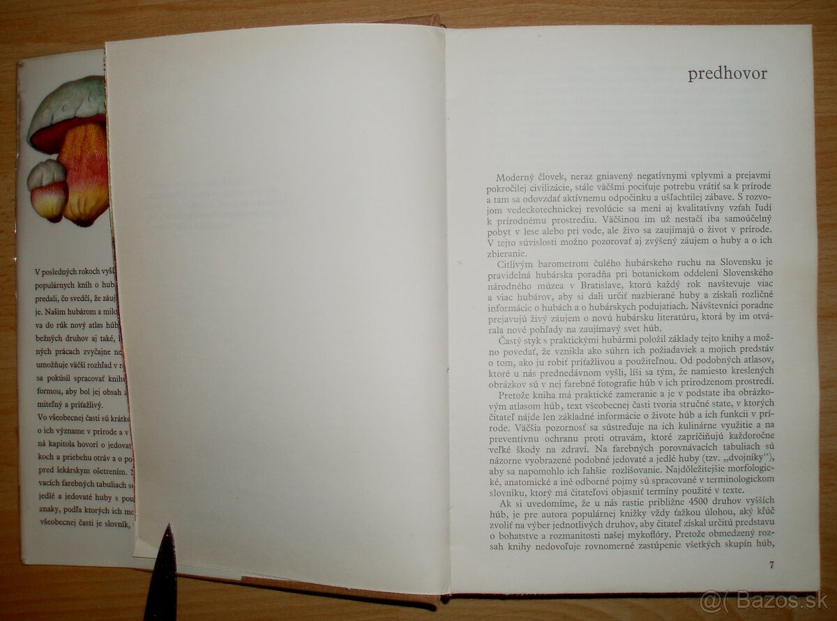Huby lesov, polí a lúk - 3