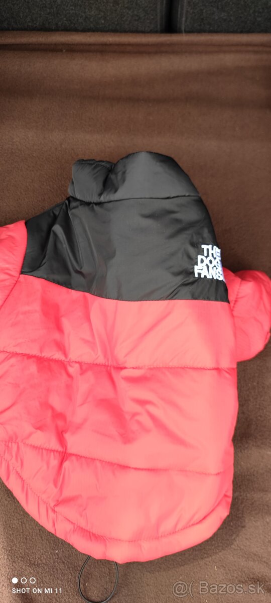 Bundička pre psíka - 3