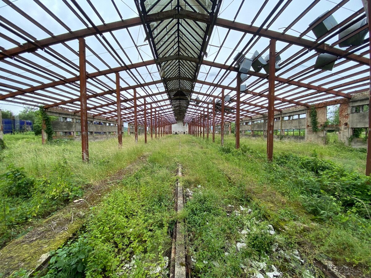 Hala s oceľovou konštrukciou 2878m2 , Rešica, sklad - výroba - 3