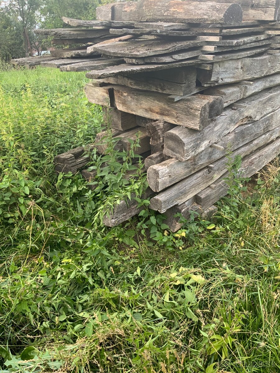 Staré drevo dub - 3