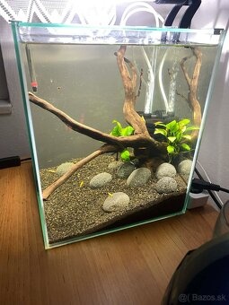 Aquael 30L Shrimp set - 3