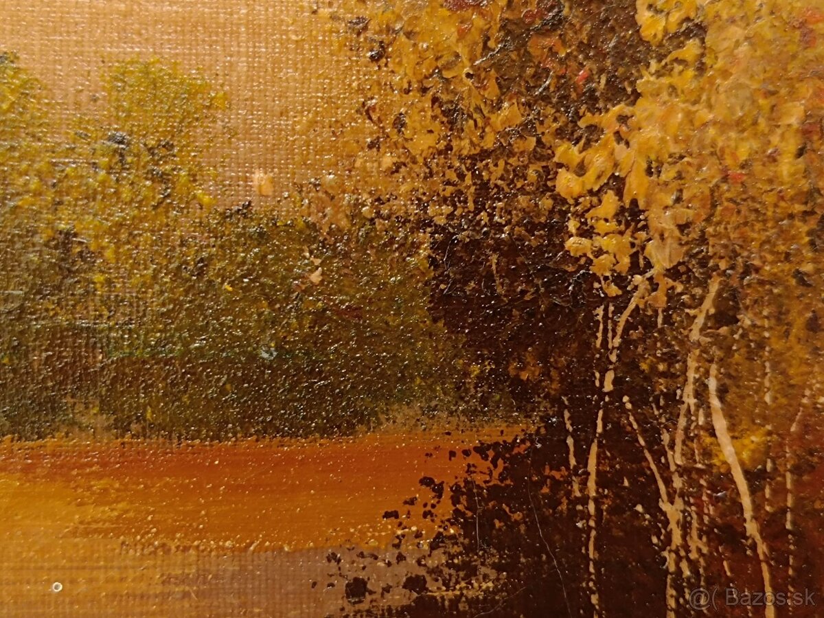 Obraz Šumava, olejomalba na plátně 26x33 - 3