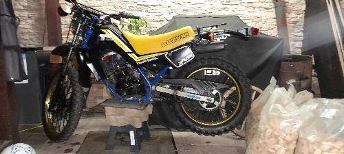 Suzuki ts 50 1986 - 3