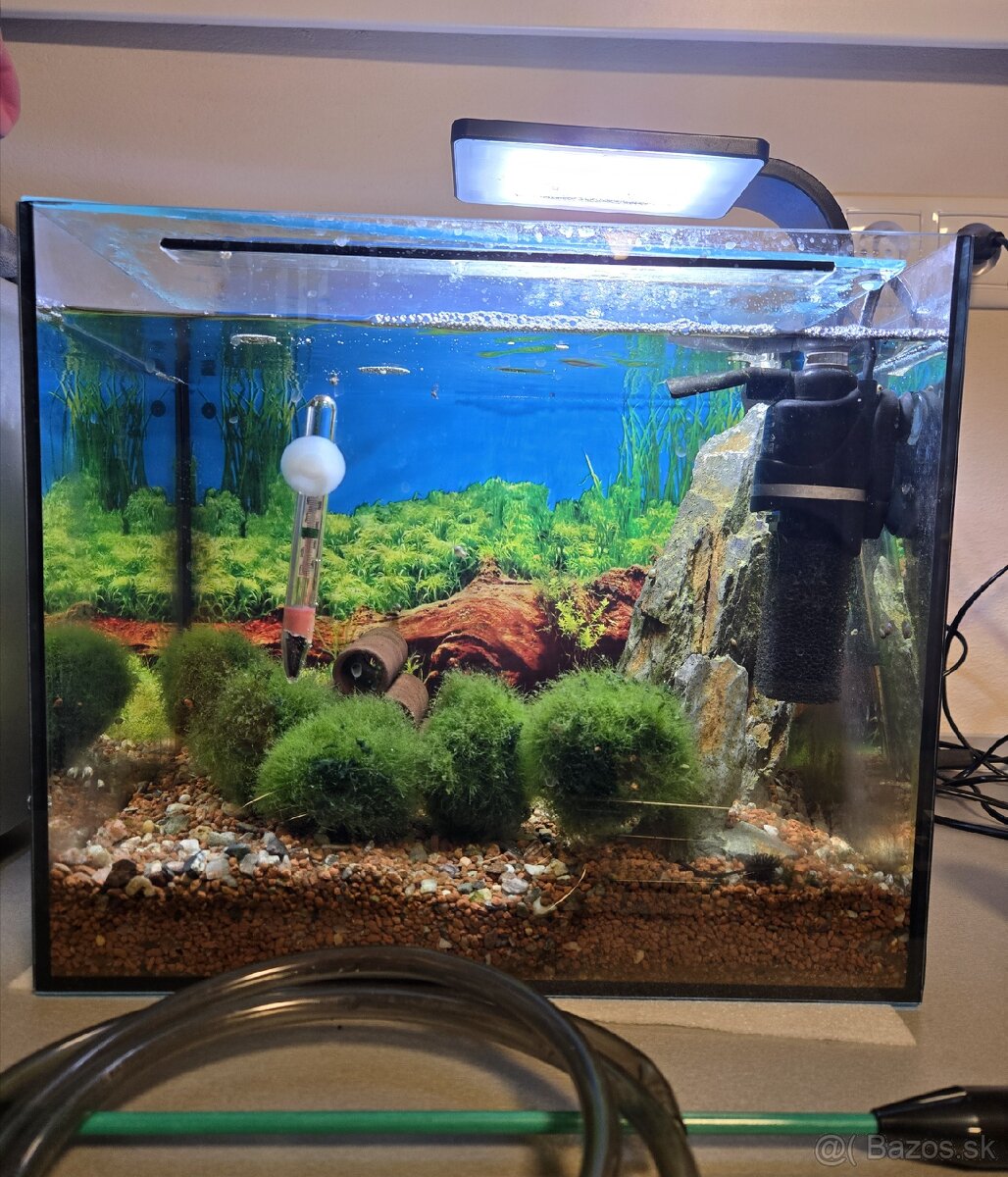 akvárium, krevetkárium 25l, zariadené - 3