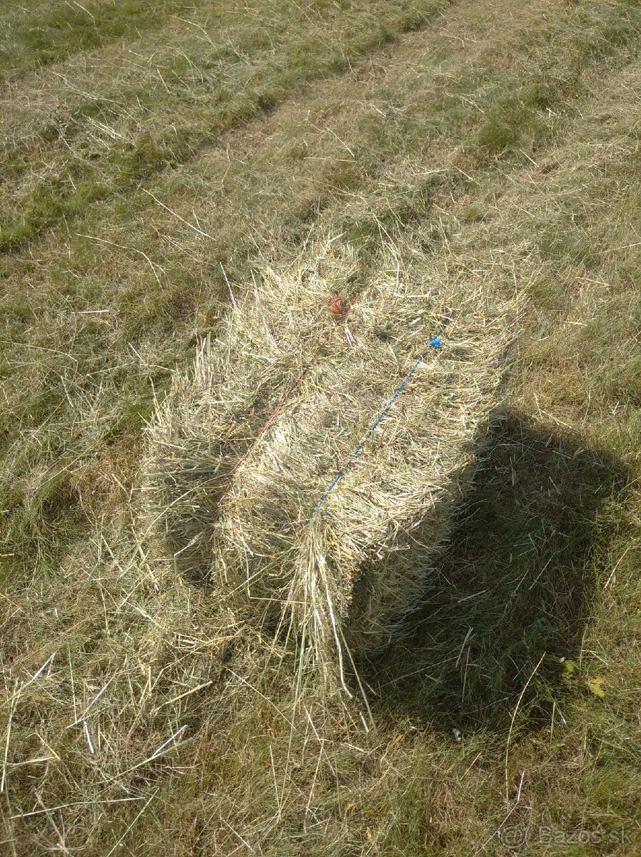 Seno malé balíky - 3