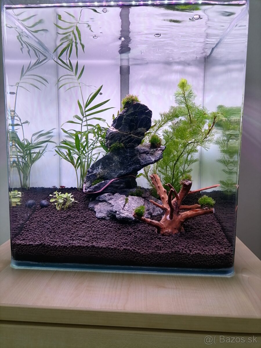 Dennerle akvárium 30l - 3