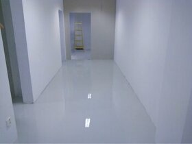 Profesionálne maľovanie a striekanie bytov a domov - 3