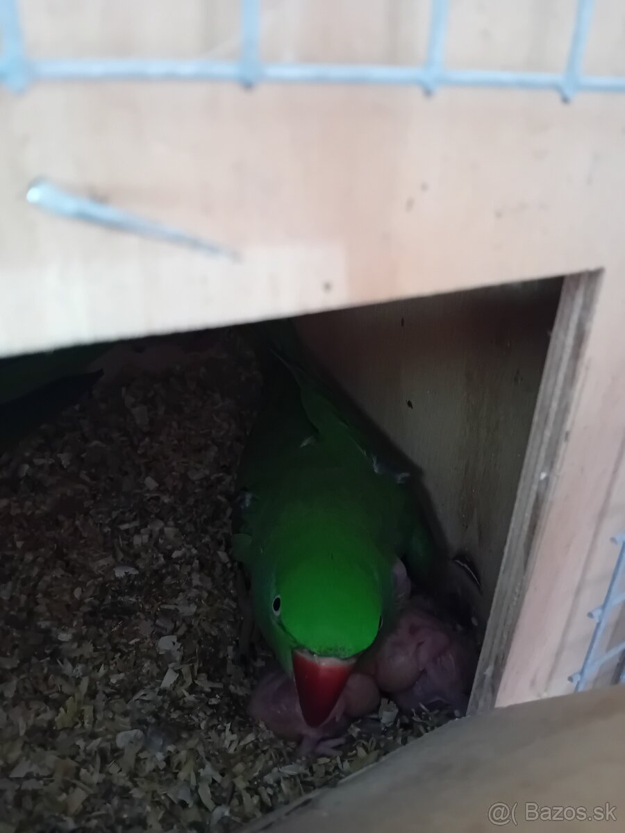 Na ručné dokmenie - 3