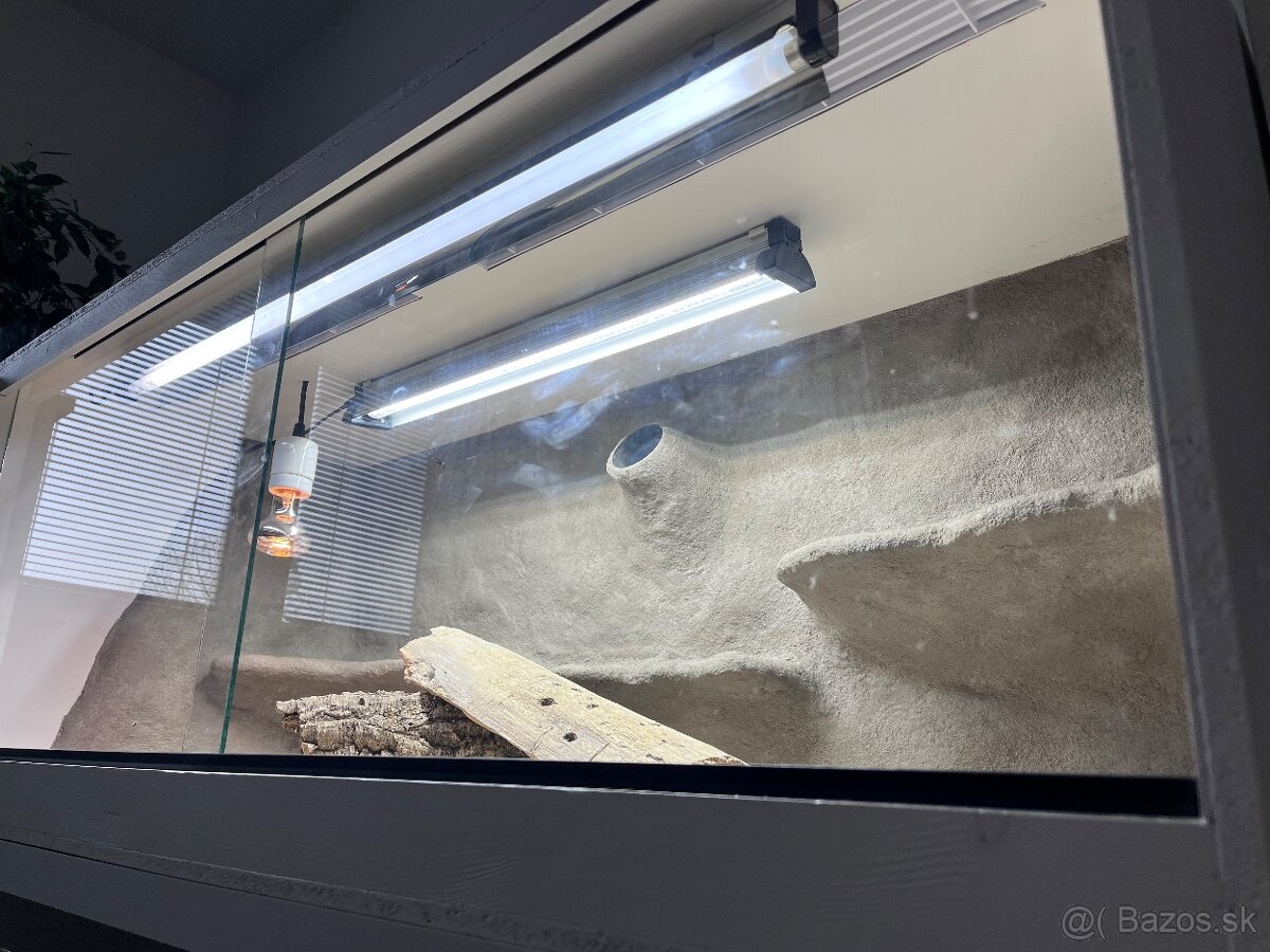 Predám zariadené terárium pre agamu - 3