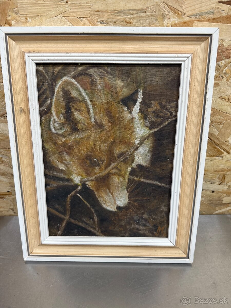 Trofej,parohy,parozie,jelen,obraz - 3