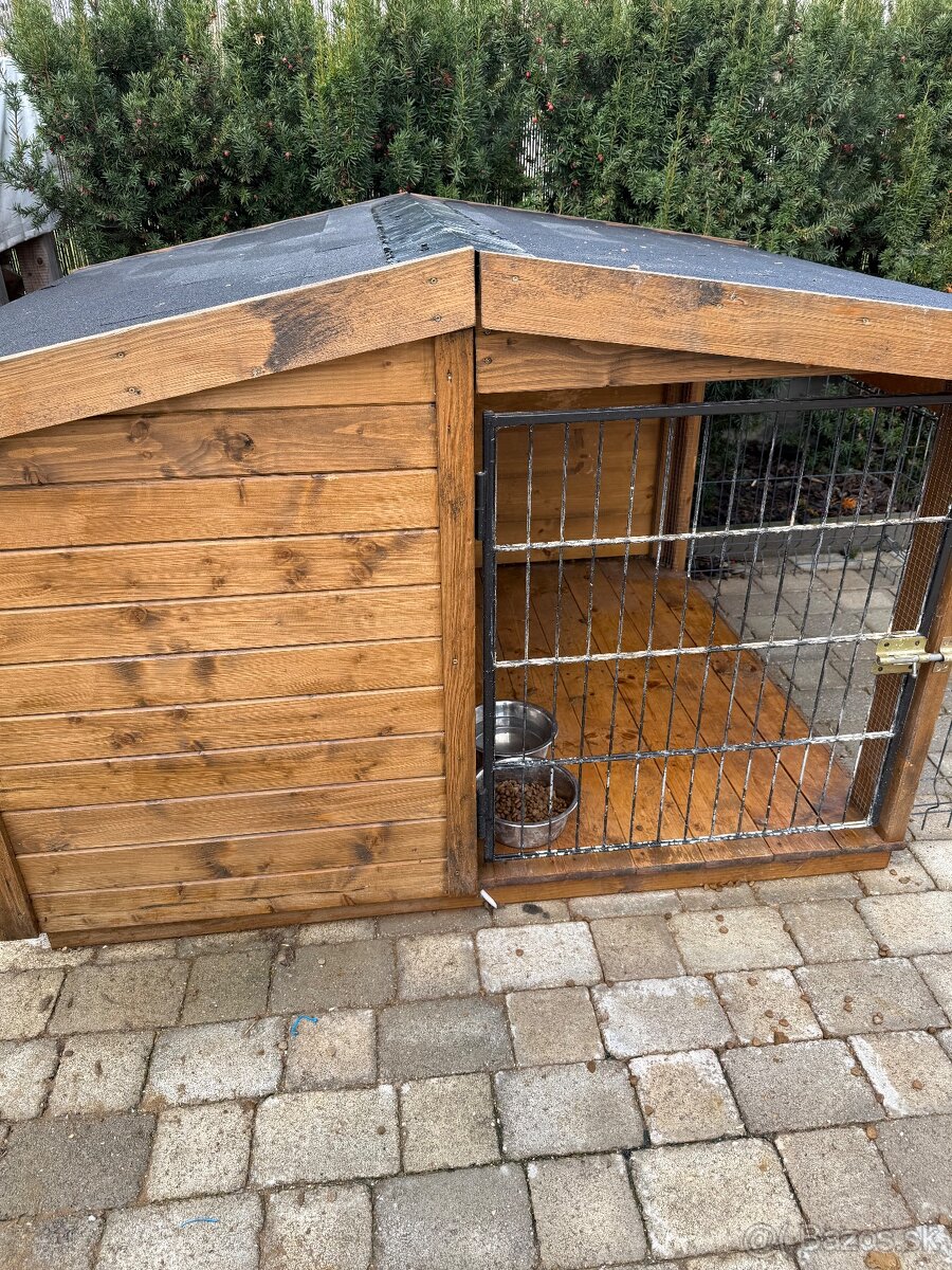 Darujem psíka Stafordšírsky teriér - 3