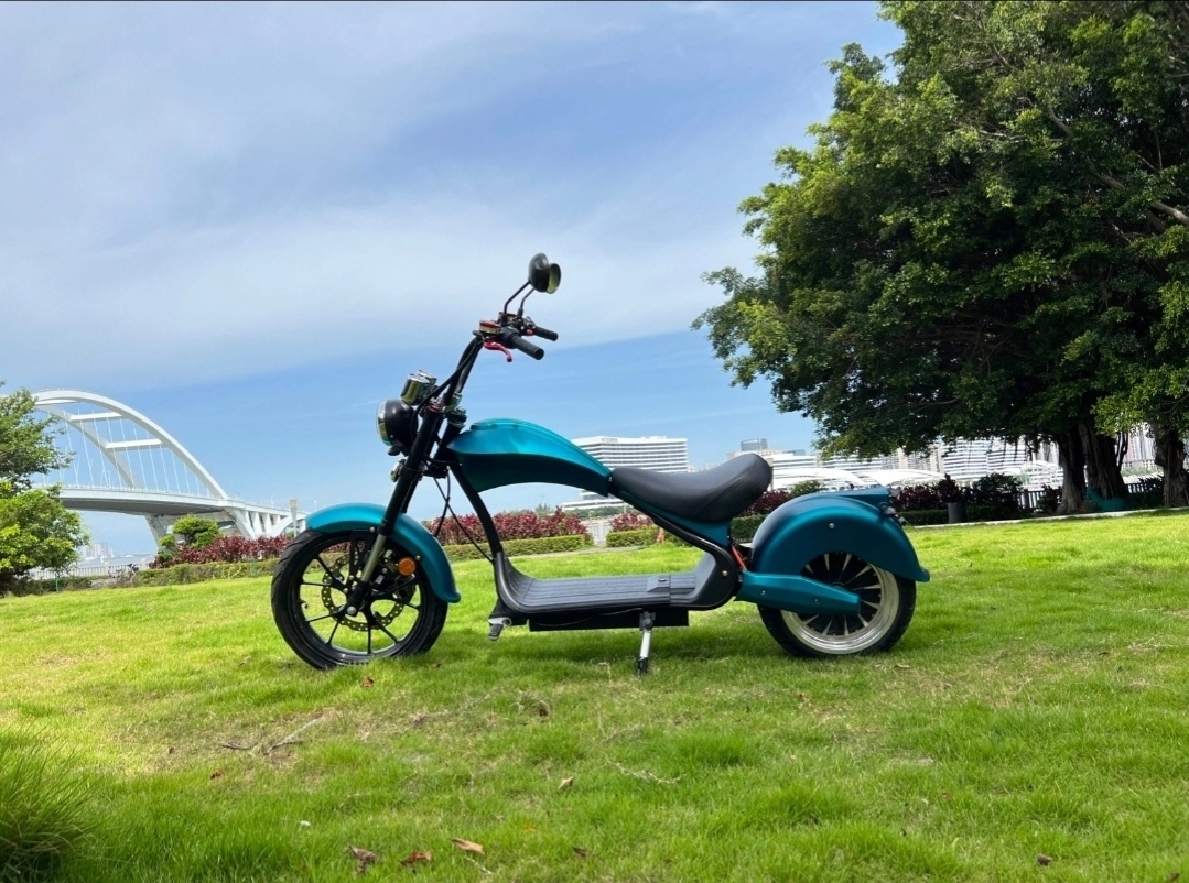 ECO Chopper Power 50ah bateria - 3
