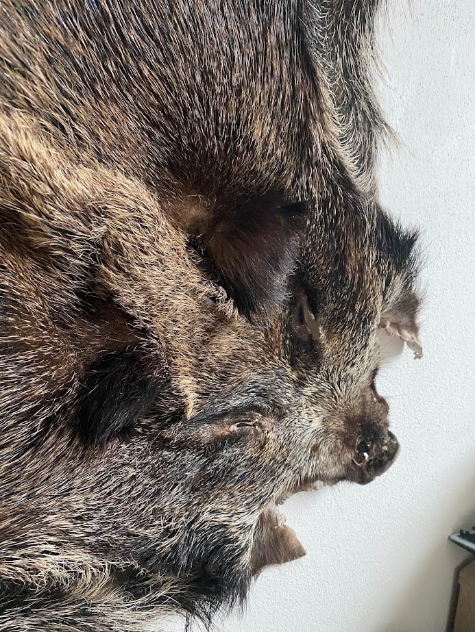 Predam polovnicke veci - 3