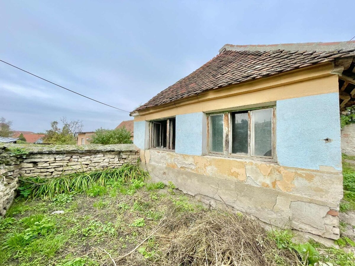 ponúkame investičnú príležitosť:starý dom s pozemkom v Holíč - 3