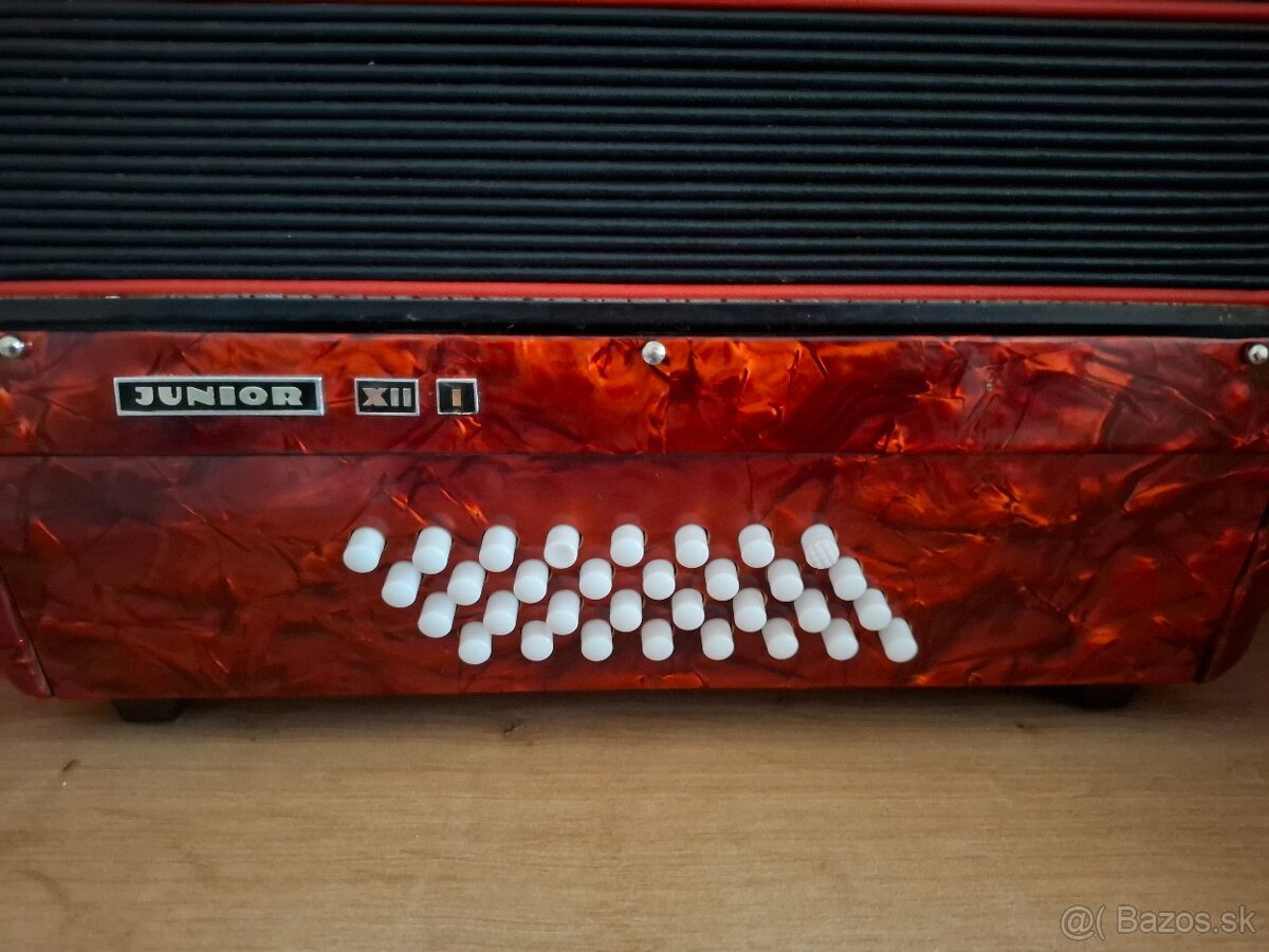 Akordeon DELICIA JUNIOR XII,32 basovy - 3