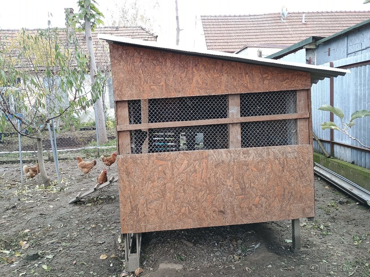 Predám kurín - 3