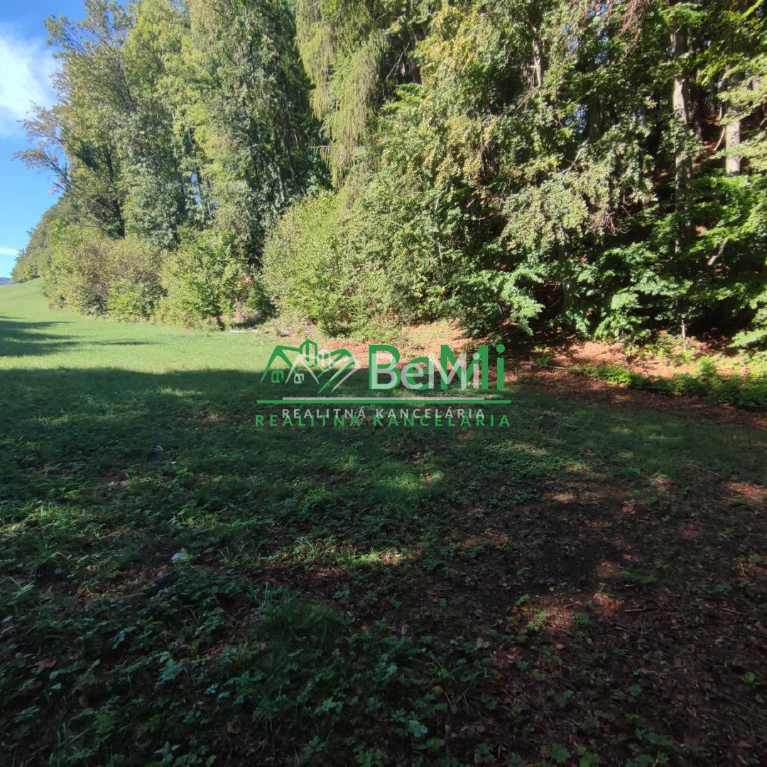 Rekreačný pozemok v Tajove na predaj ID: 015-14-STKa - 3