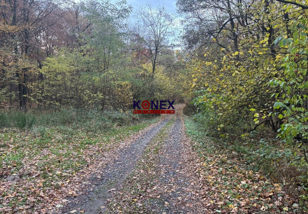 Rekreačný pozemok na výstavbu chaty blízko Vranova nad Topľo - 3