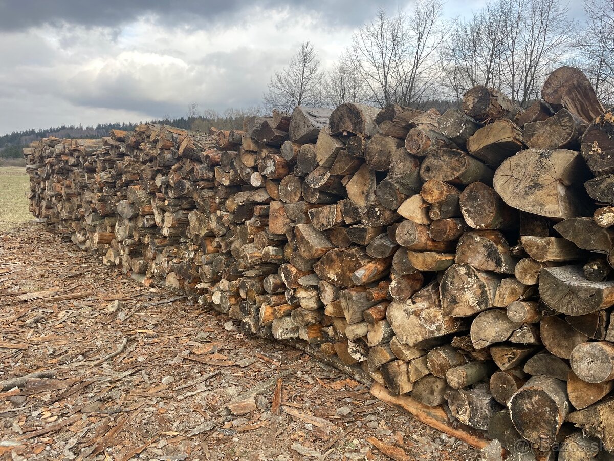 Predám palivové drevo BUK - 3