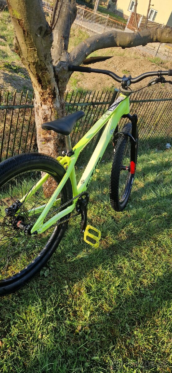 Ctm dirtking - 3