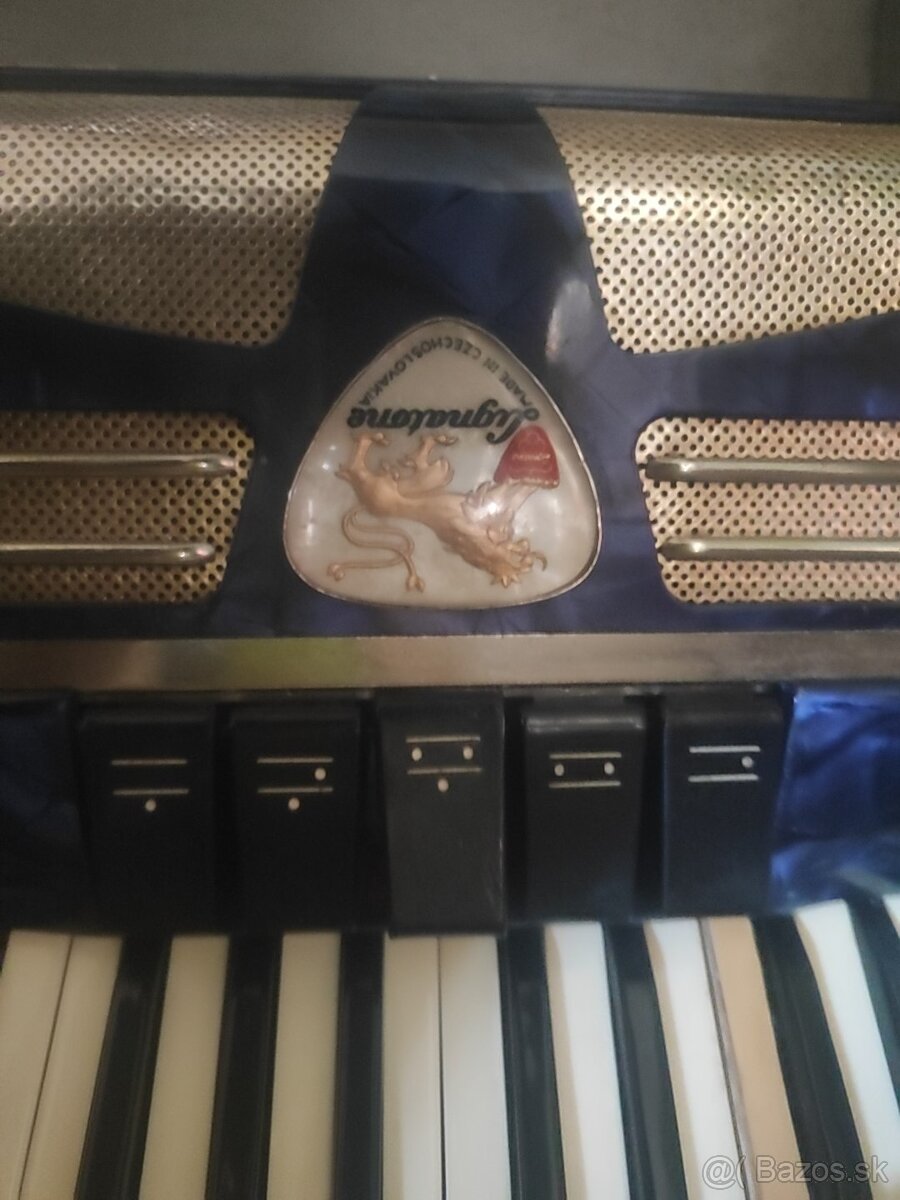 Acordeon Harmonika - 3