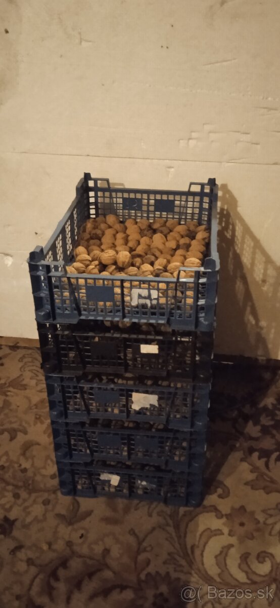 Plastové bednicky - 3