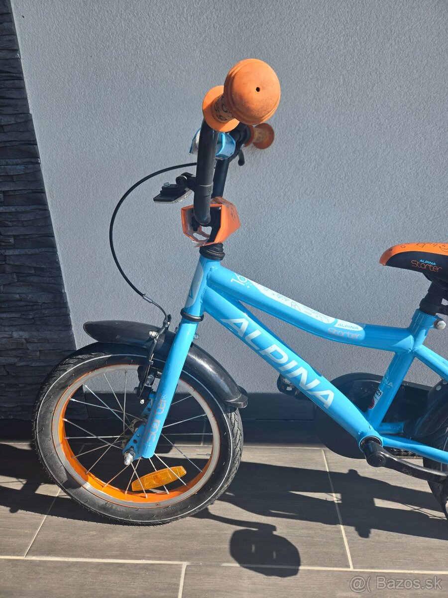 Kellys Alpina Starter 2025 - 3