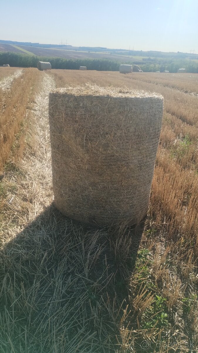 Pradam slamu slama - 3