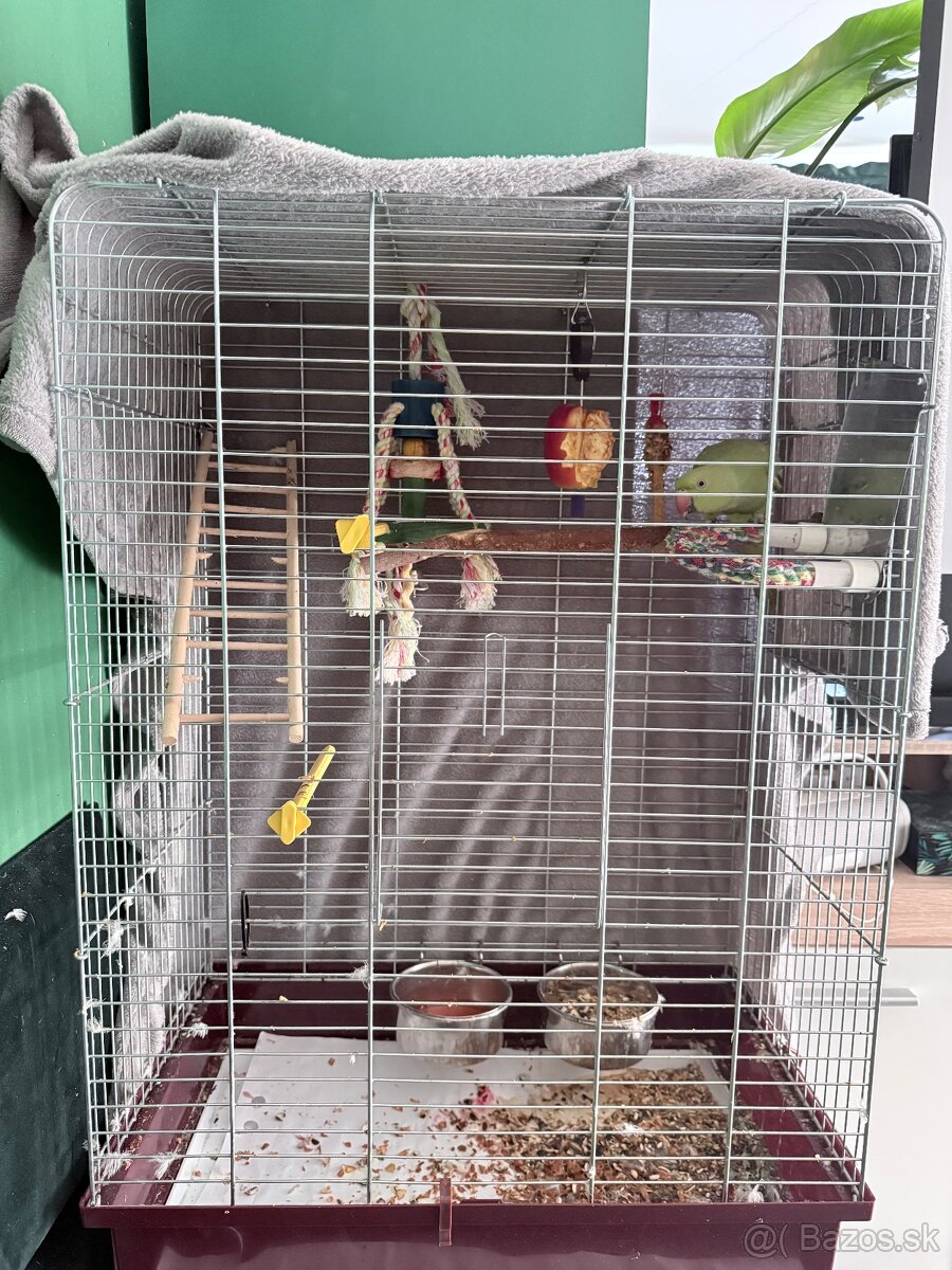 Alexander malý s klietkou - 3