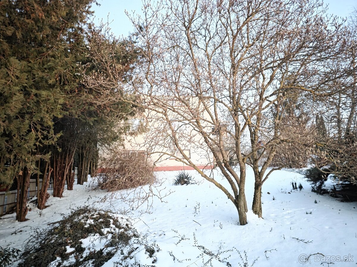 Rodinný dom Veľaty, Trebišov - 3