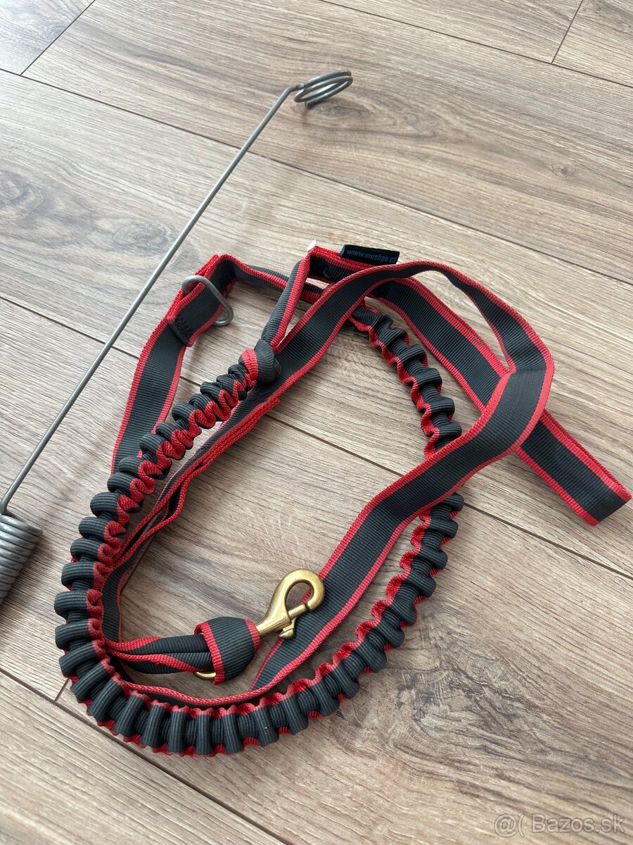 Bikejöring, Scooter - 3