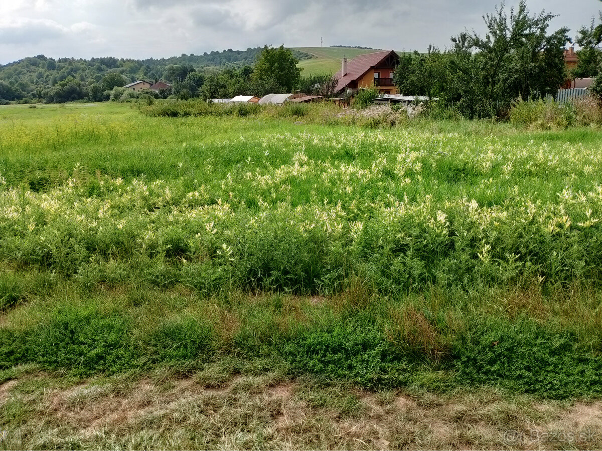 Pozemok na predaj Malý Šariš - 3