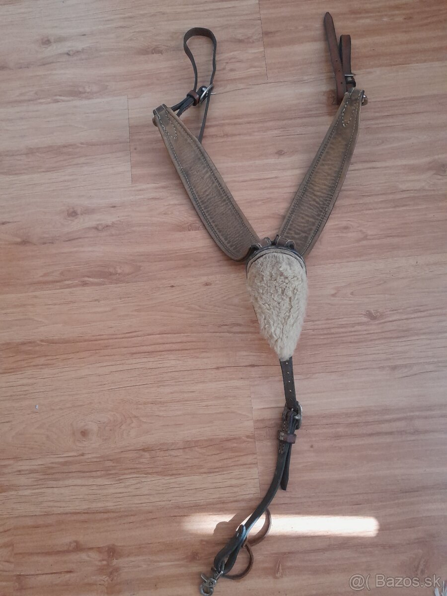 Westernovy poprsák - 3