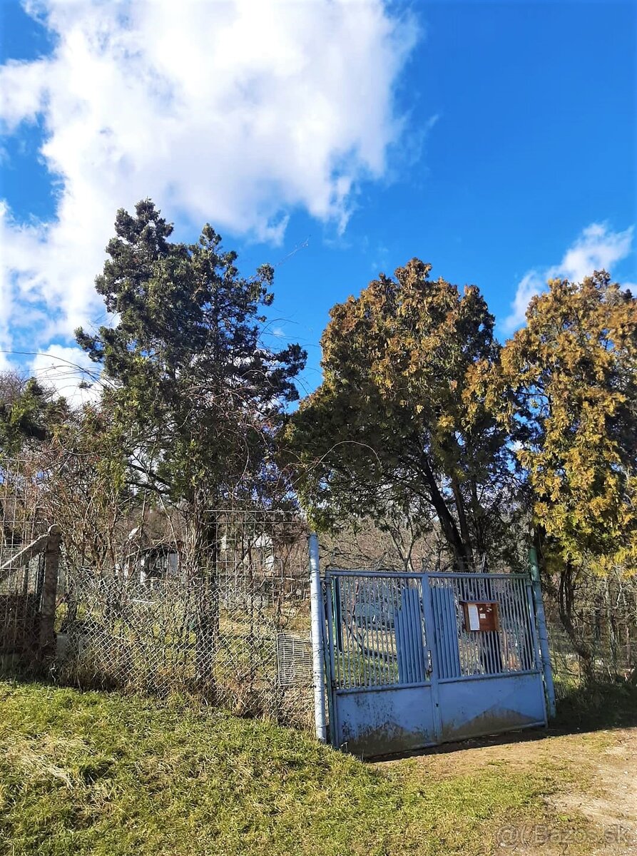 Záhrada nad Karpatskou ulicou - 3