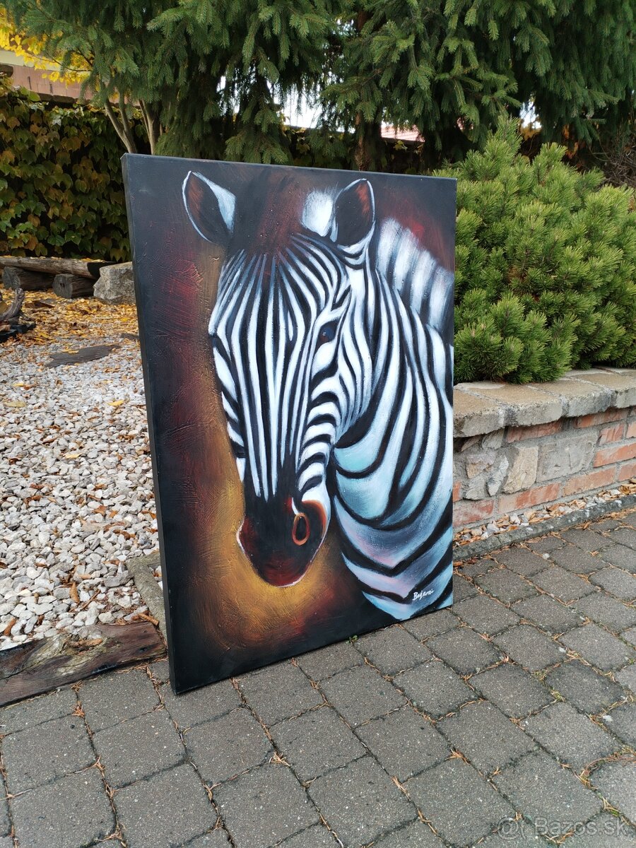 Obraz zebra - 3