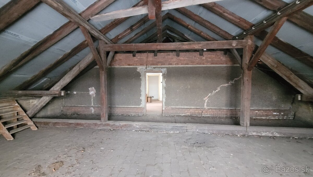 Půdní prostor o podlahové ploše 290 m² - 3
