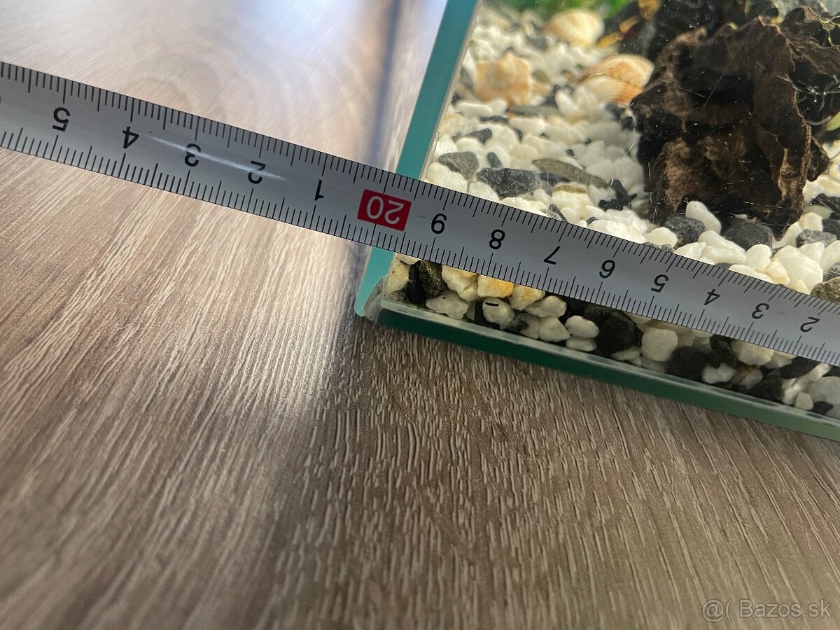 Akvarium s rybami - 3