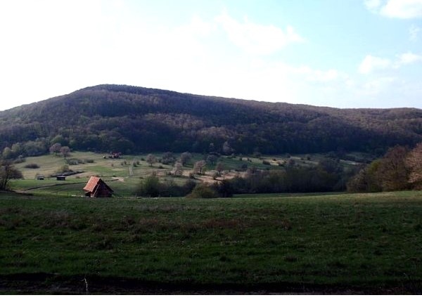 Rekreačný pozemok - 2 392 m2. - 3