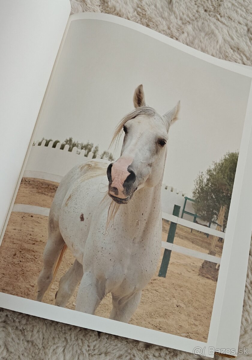 Jitka Hanzlová – Horse - 3