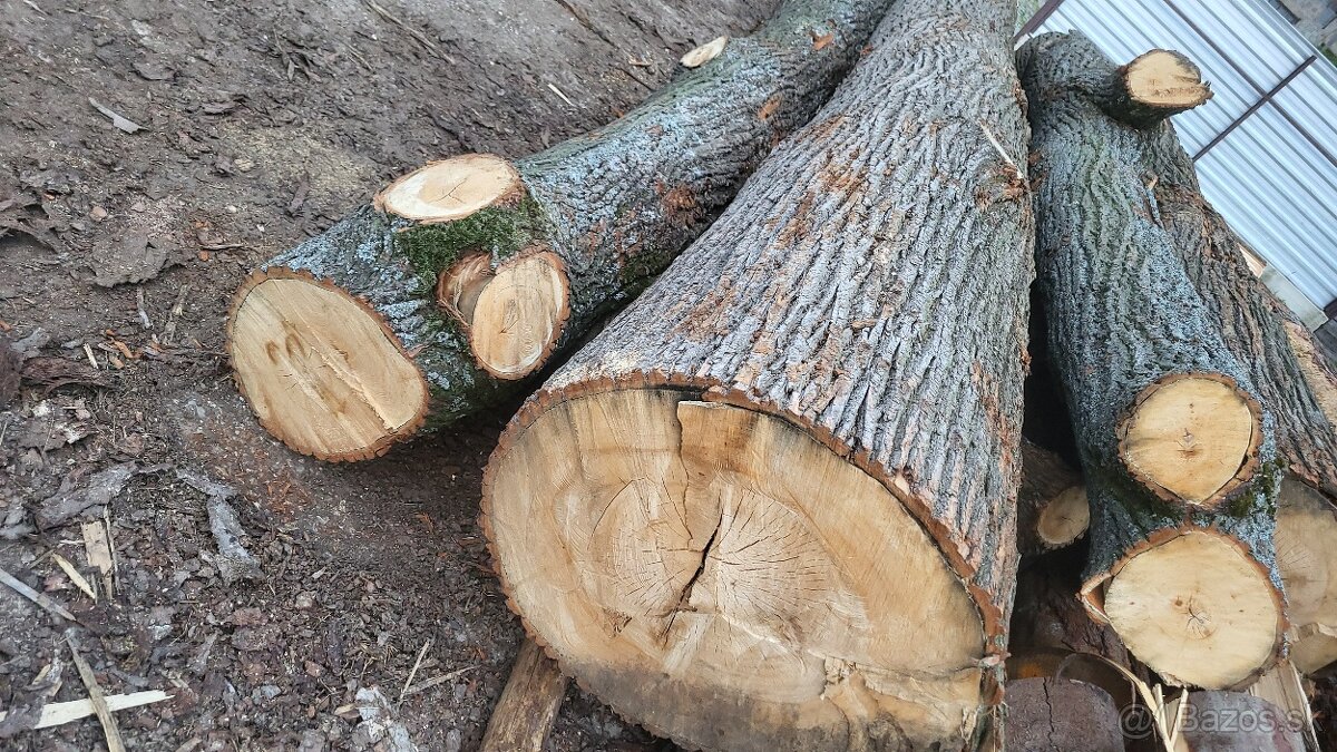 Lipove drevo kmene - 3