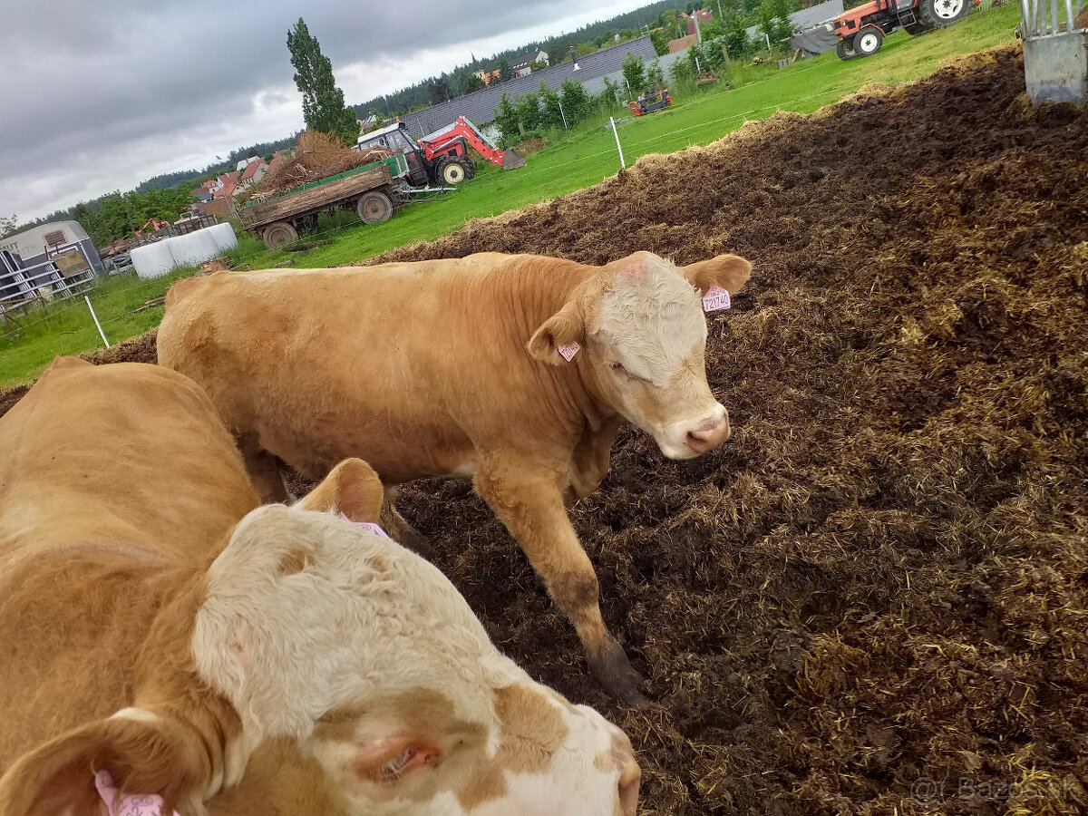 Betónové cestné panely (prémiový materiál) - 3