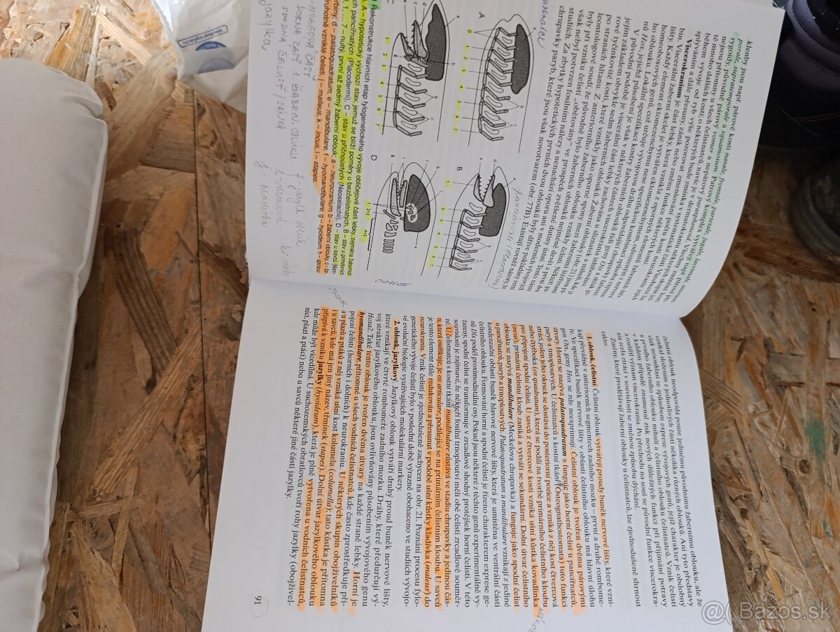 Zoológie obratlovcu - 3