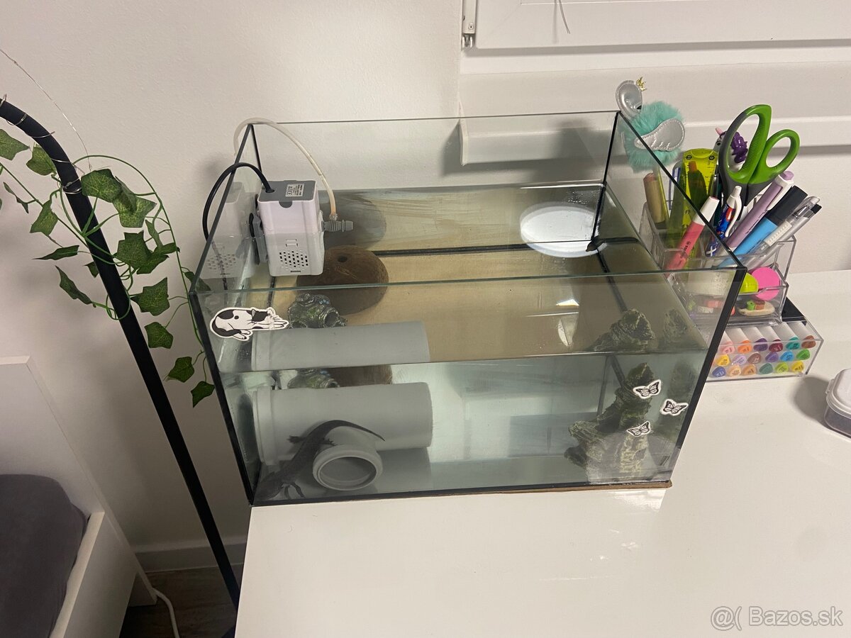 Predám axolotla a akvárium - 3