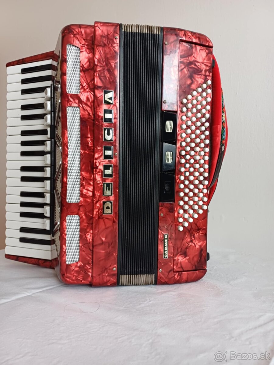 Akordeón Delicia - 3